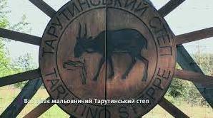 Стаття Вона, ну дуууже мила: в степах Одещини знайшли рідкісну тваринку (фото) Ранкове місто. Крим