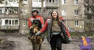 Стаття «Врятовано понад 400 пухнастиків»: як київські волонтери евакуюють тварин зі сходу України Ранкове місто. Крим