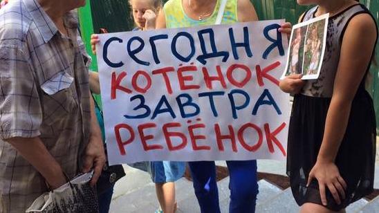 Стаття Жестокое убийство котят в Святошинском районе: киевляне начали протест Ранкове місто. Крим
