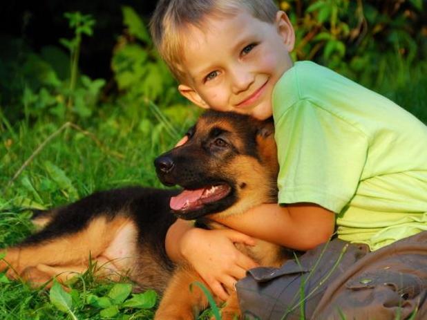 Стаття Собаки-воспитатели: какую породу лучше заводить семьям с маленькими детьми Ранкове місто. Крим
