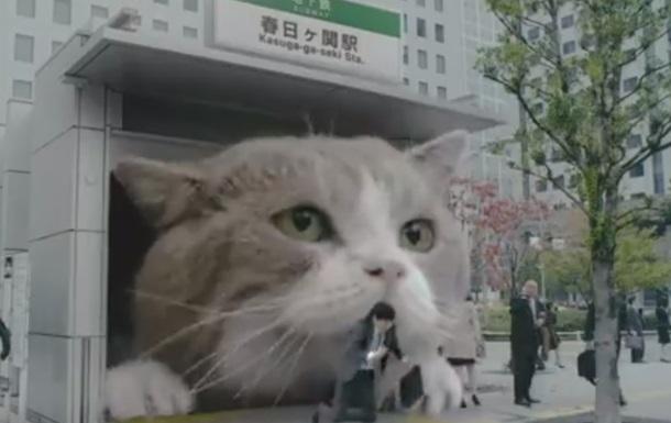 Стаття Фотографии бездомных котов Токио Ранкове місто. Крим