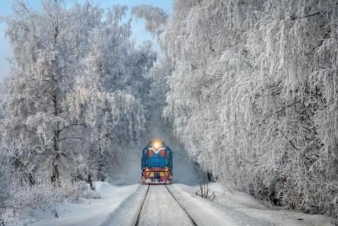 Стаття На новогодние праздники «Укрзализныця» назначила дополнительные рейсы двух скоростных поездов Ранкове місто. Крим