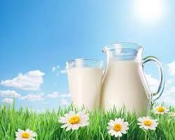 Стаття А вы знали, что мы пьём наше любимое молоко вот уже 10 000 лет? Ранкове місто. Крим