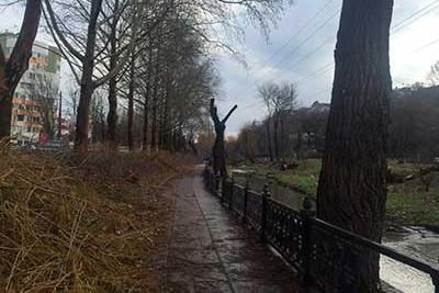 Стаття Во что превратилась набережная Симферополя после обрезки деревьев (ФОТО) Утренний город. Крим