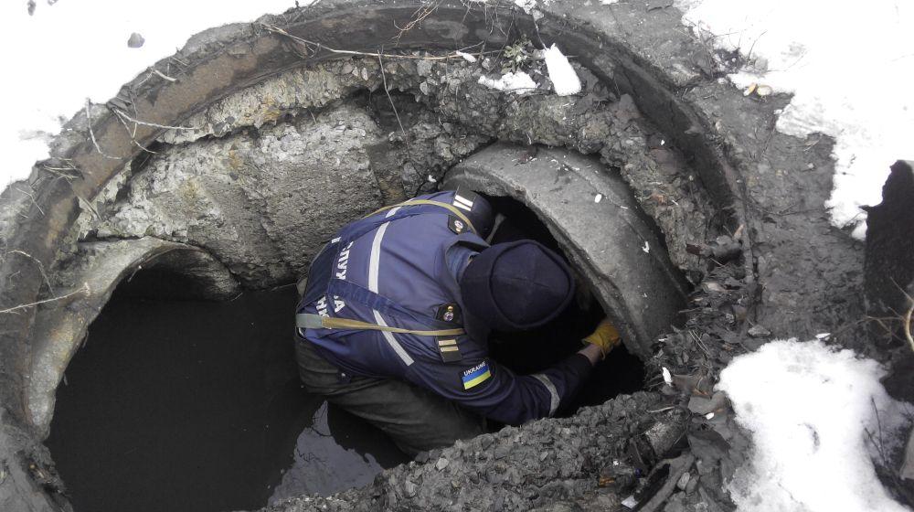 Стаття Спасатели помогли щенку, попавшему в ловушку в ледяной воде Ранкове місто. Крим