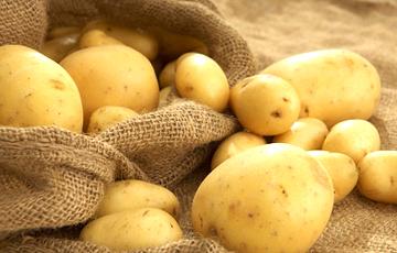Стаття Беларусь оказалась крупнейшим покупателем картофеля в Украине Ранкове місто. Крим