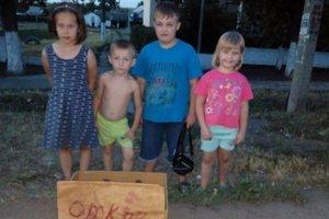Стаття В Запорожской области дети «открыли бизнес» ради бездомных котов Ранкове місто. Крим