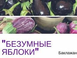 Стаття Овощ, занимающий в нашей пищевой цепочке особенное место Ранкове місто. Крим