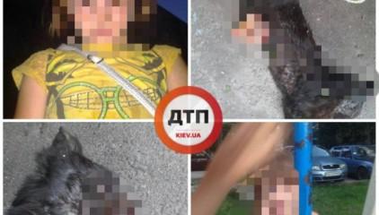 Стаття 6-летняя девочка убивает котят и вынимает из них внутренности Ранкове місто. Крим