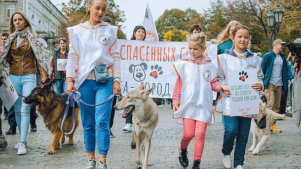 Стаття День защиты животных: в Одессе устроили Марш спасенных собак и защищают рыб, переживших динозавров Ранкове місто. Крим