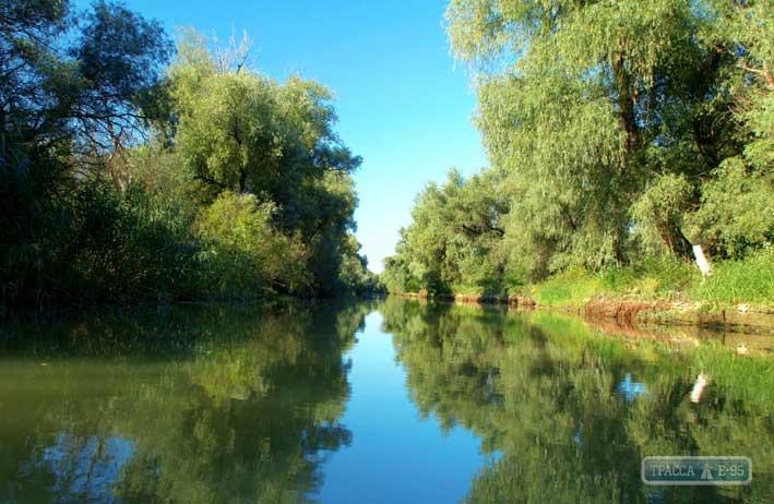 Стаття Европейская программа выделила крупный грант на восстановление природы в дельте Дуная на Одесщине Ранкове місто. Крим