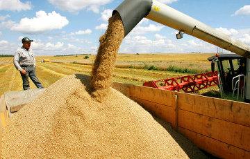 Стаття Украина вошла в пятерку крупнейших экспортеров агропродукции в ЕС Ранкове місто. Крим