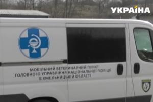 Стаття В Украине заработала «скорая» для служебных собак Ранкове місто. Крим