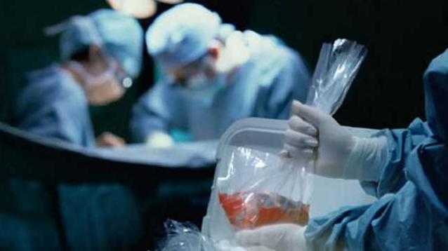 Стаття Программа трансплантации заработает до конца текущего года и постепенно заменит лечение за рубежом Ранкове місто. Крим