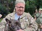 Стаття Во Львове наградили собак, служивших вместе с хозяевами в зоне боевых действий на Донбассе. ФОТО Ранкове місто. Крим