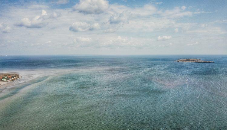 Стаття Березань: красоты природы уникального острова в Черном море (фото) Ранкове місто. Крим