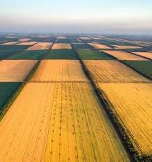 Стаття В Україні запрацював сайт про земельну реформу з усіма відповідями Ранкове місто. Крим