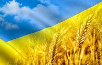 Статья Украина обновила рекорд по урожаю зерновых Утренний город. Крым