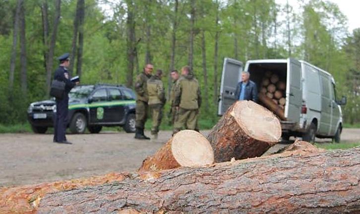 Стаття На Донеччині ветерани АТО почали боротьбу з «чорними лісорубами» Ранкове місто. Крим