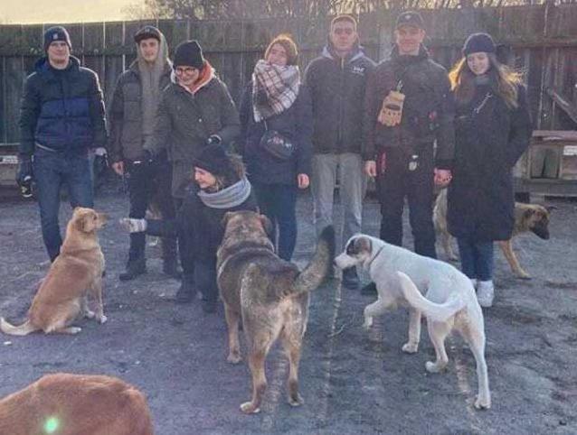 Стаття На Київщині активісти завітали до притулку для тварин Ранкове місто. Крим