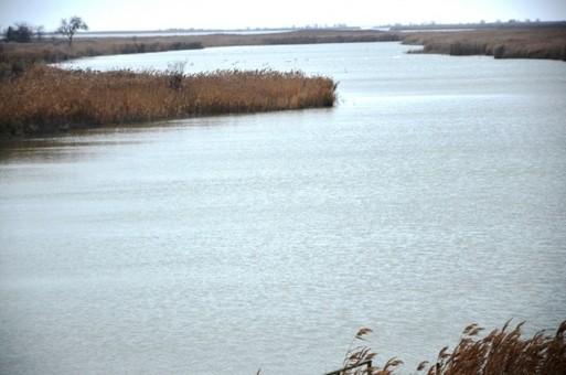 Стаття В Одесской области обсуждали возрождение умирающего озера Сасы Ранкове місто. Крим