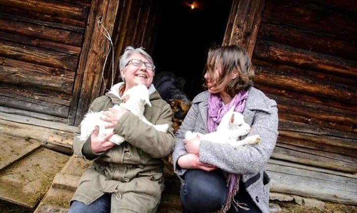 Стаття Переселенка з Донбасу заснувала козячу ферму в Карпатах Ранкове місто. Крим
