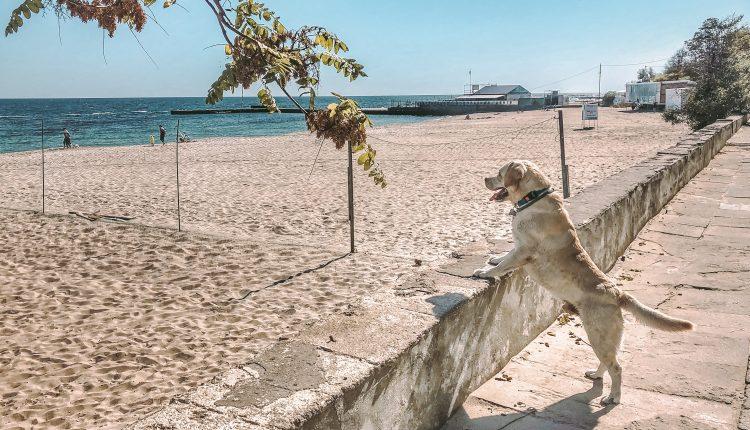 Стаття Суд запретил уменьшать протяженность пляжа в Одессе Ранкове місто. Крим
