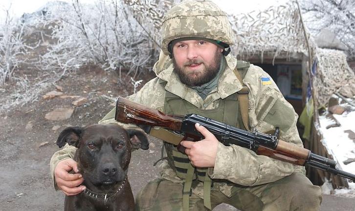 Стаття Військова лікарка 5 годин оперувала пораненого на передовій фронтового собаку Ранкове місто. Крим
