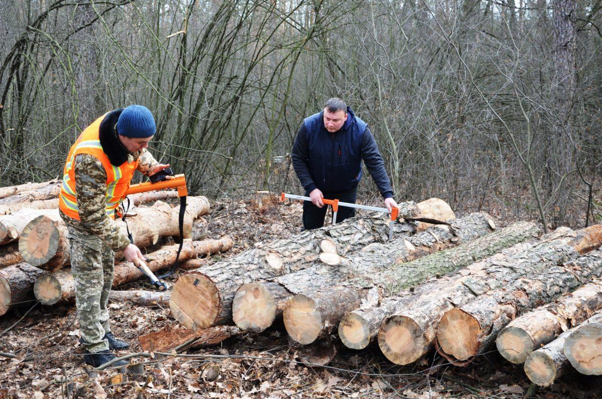 Стаття Київськи лісники отримали дієвий механізмом у боротьбі з нелегальною вирубкою дерев Ранкове місто. Крим