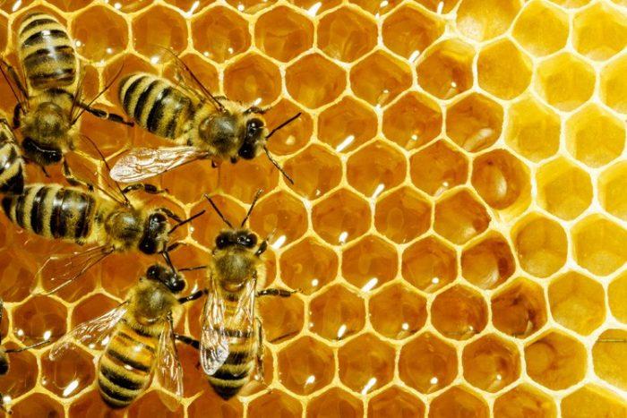 Стаття Українська компанія виконала перші поставки меду в Саудівську Аравію Ранкове місто. Крим