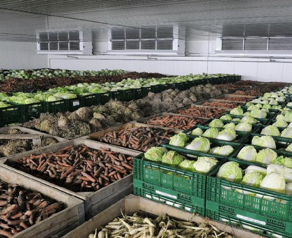 Стаття В Україні будують потужне сховище для овочів із цехом з виробництва соку Ранкове місто. Крим