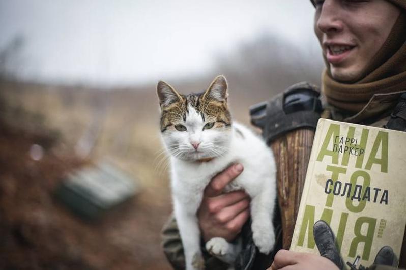 Стаття На День кота військові показали фото пухнастих побратимів Ранкове місто. Крим