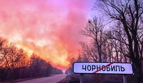 Стаття Фото дня. Від пожежі у Чорнобилі врятували білченят Ранкове місто. Крим