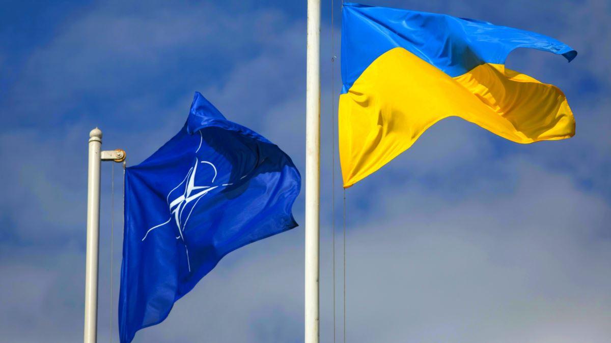 Стаття В Україні стартував онлайн-курс про НАТО для всіх охочих Ранкове місто. Крим