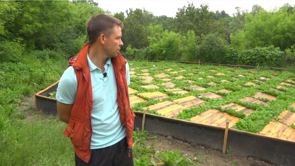 Стаття От меда до улиток: как переселенец на Луганщине развивает агробизнес Ранкове місто. Крим