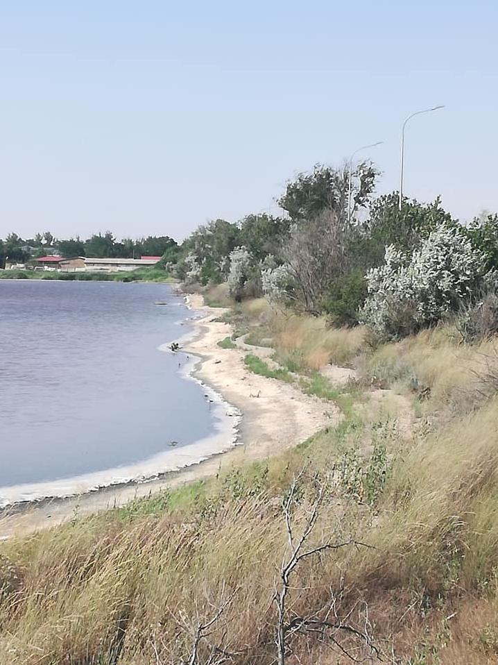Стаття На озерах крымского города Саки назревает экологическая катастрофа (фото) Ранкове місто. Крим