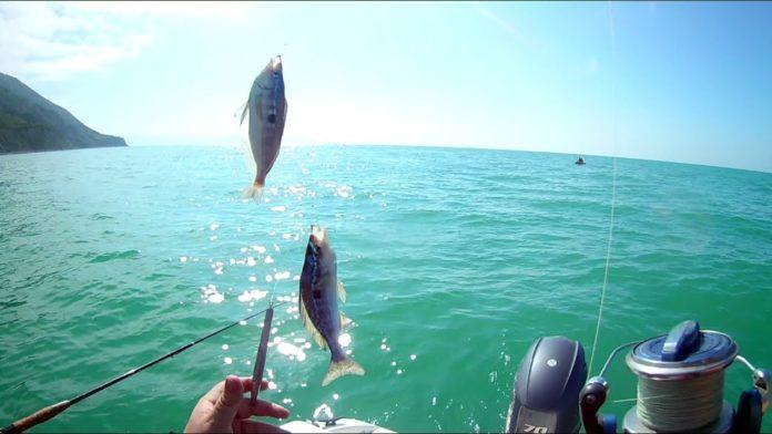 Стаття Оккупанты запретили рыбалку в Черном море до весны Ранкове місто. Крим
