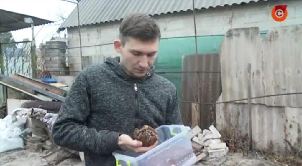 Стаття Житель Мариуполя создал центр реабилитации диких животных: видео Ранкове місто. Крим