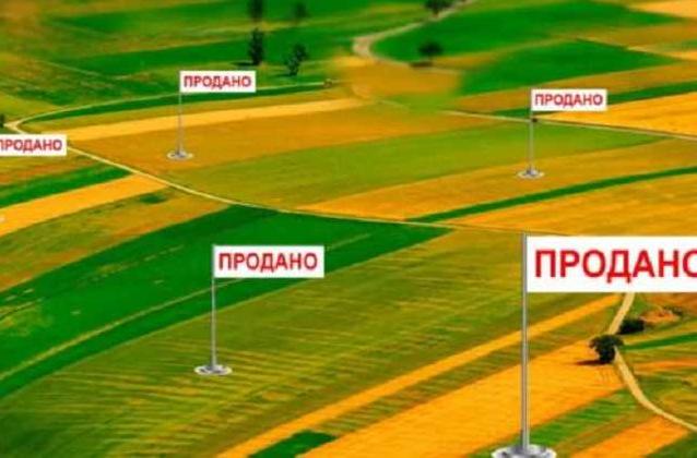 Стаття Украинский рынок земли выведут из тени: сколько будет стоить гектар? Ранкове місто. Крим