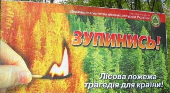 Стаття Жителям Северодонецкой громады запретили ходить в лес без спецразрешения Ранкове місто. Крим