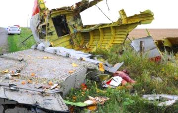 Стаття Выпущенная из «Бука» ракета - единственная причина катастрофы рейса MH17, - суд в Гааге ФОТО Ранкове місто. Крим
