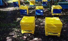 Стаття На Луганщине только в Марковском лицее будут готовить пчеловодов: закупили оборудование по гранту Ранкове місто. Крим