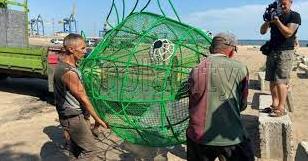 Стаття На пляже Азовского моря в Мариуполе появилась «рыба» для сбора пластика (фото) Ранкове місто. Крим