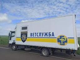 Стаття С 16 августа в Северодонецке вновь заработает «ЗооКонтроль» Ранкове місто. Крим