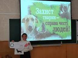 Стаття Дни доброты: гимназия № 5 собрала помощь для котиков (фото) Ранкове місто. Крим