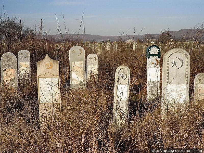 Статья Останки вывозят в лес: оккупанты застраивают мусульманские кладбища в Крыму Утренний город. Крым