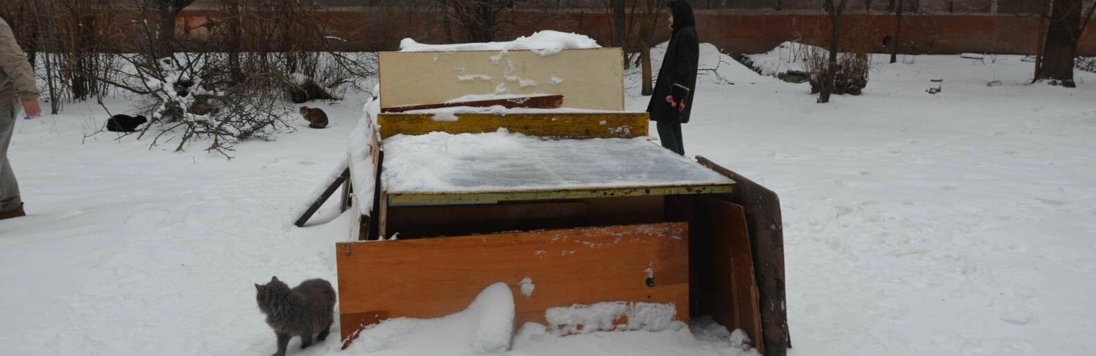 Статья Жители Мариуполя построили домик для бездомных котов из теннисного стола (фото) Утренний город. Крым