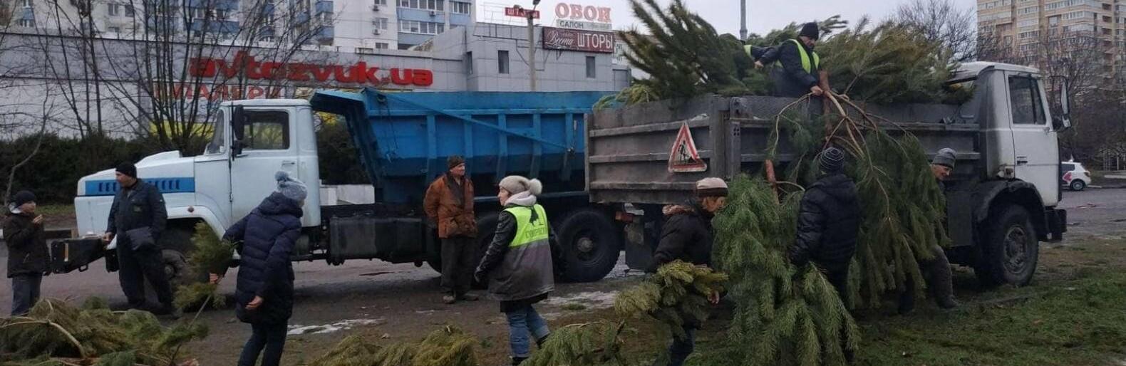Стаття Зачем? Трудно объяснить! Одесские продавцы облили соляркой тысячи елок, которые не продали. ФОТО Ранкове місто. Крим