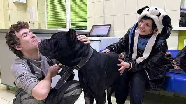 Статья Спасатели животных в Киеве ищут дом собаке, которая 5 дней охраняла тело умершего владельца Утренний город. Крым