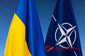 Стаття Петиция к НАТО о закрытии неба над Украиной набрала необходимый миллион голосов Ранкове місто. Крим